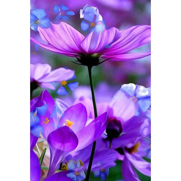 фиолетовые цветки