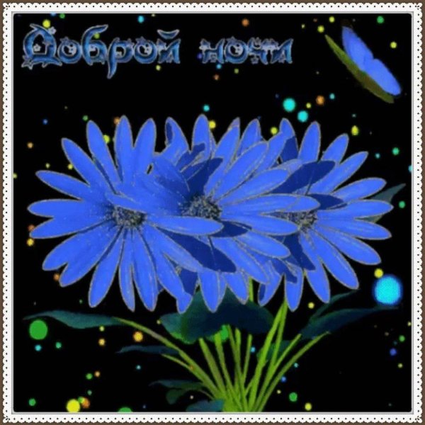 цветы доброй ночи