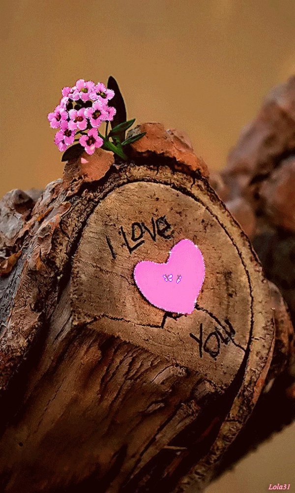 Сердце необычные