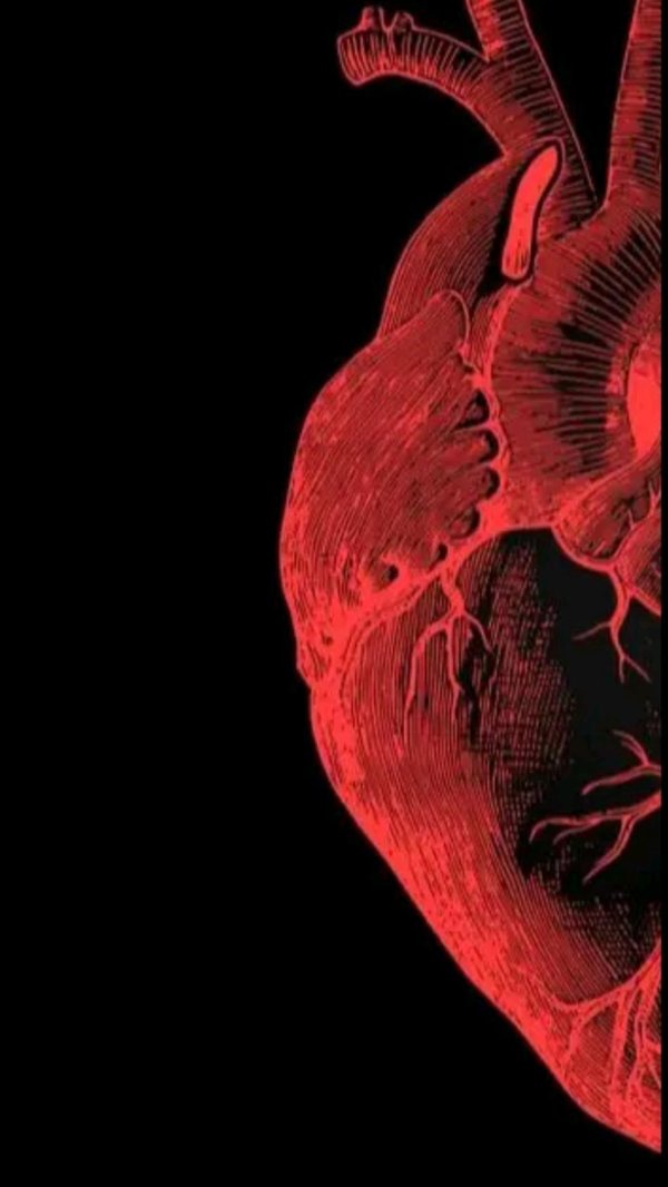 Сердце необычные