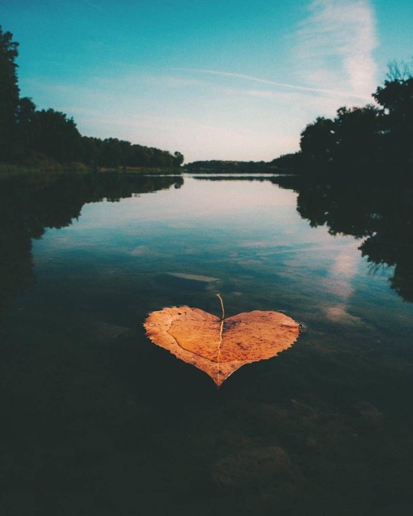 Сердце необычные