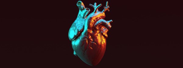 Сердце необычные