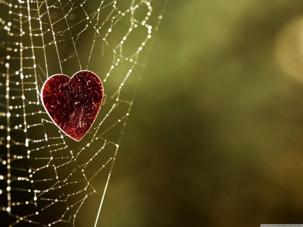 Сердце необычные