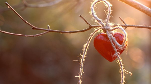 Сердце необычные