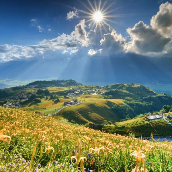 Лето солнце