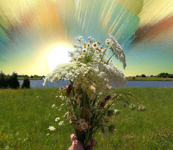 Лето солнце