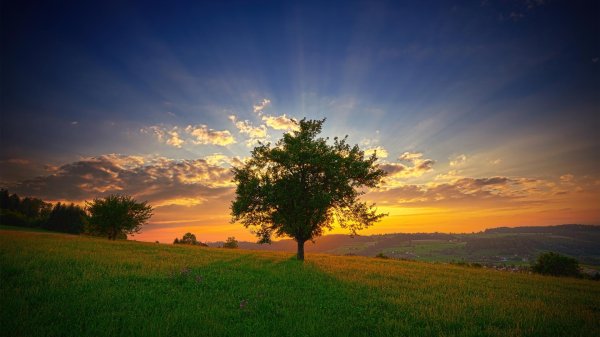 Лето солнце