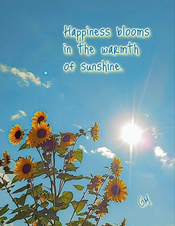 Лето солнце