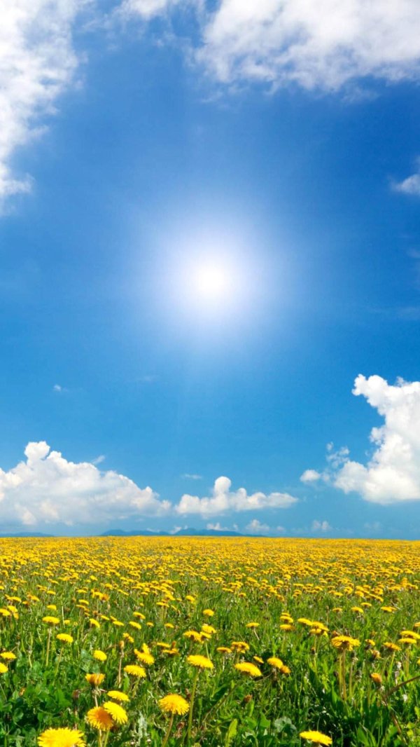 Лето солнце