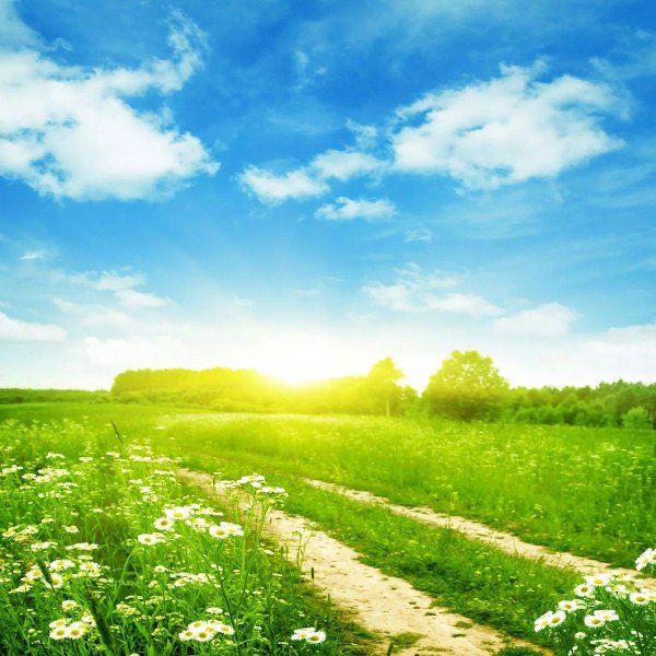 Лето солнце