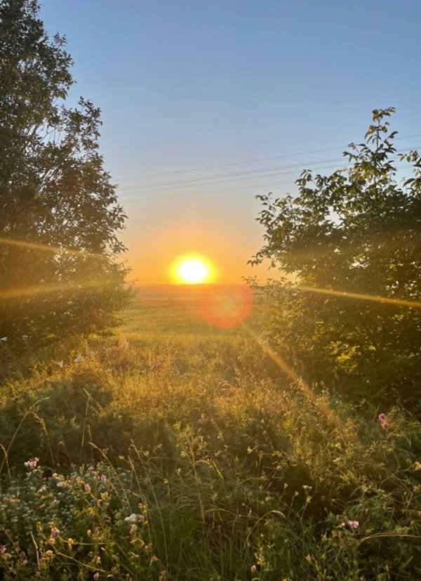 Лето солнце