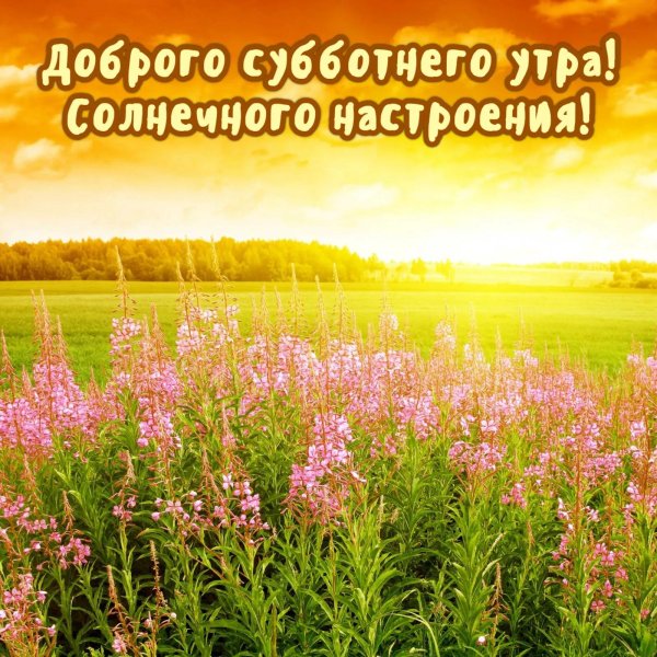 Лето солнце