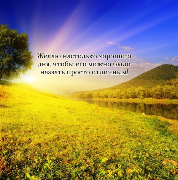 Лето солнце