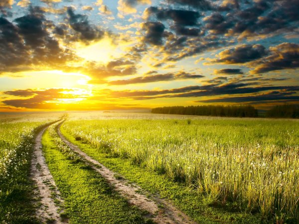 Лето солнце