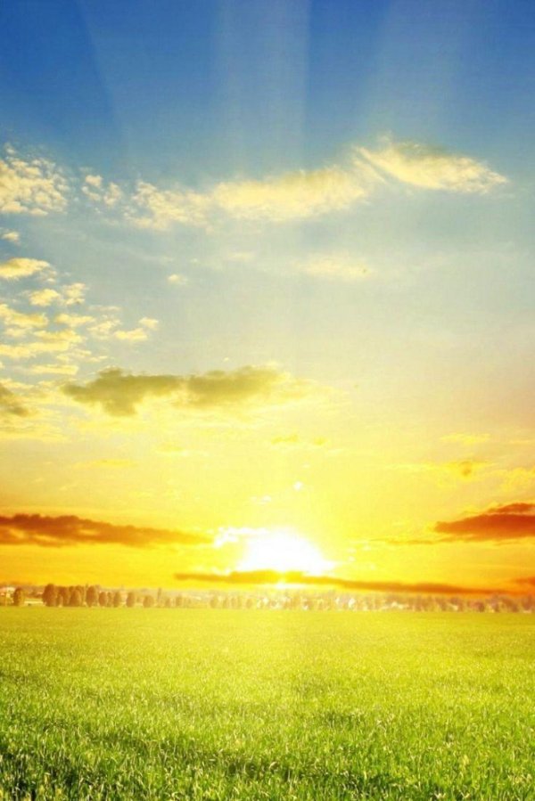 Лето солнце