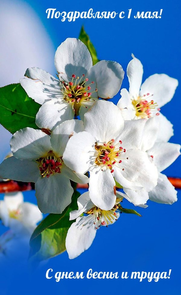 Праздник весны