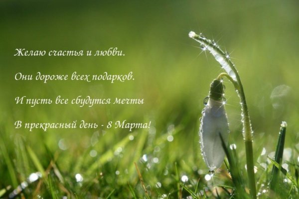 Праздник весны