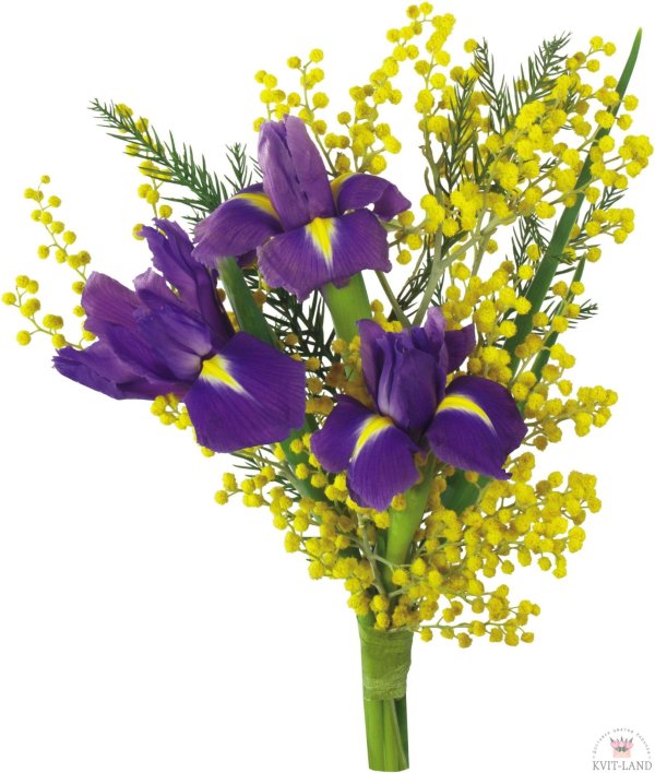 Праздник весны