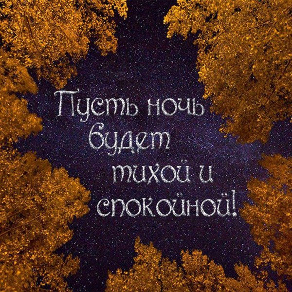 Тихой ночи