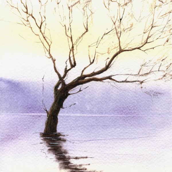 Нарисованные природы