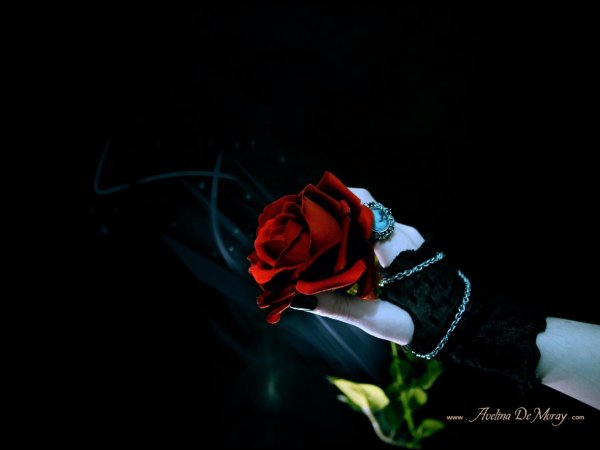 Черные с цветами