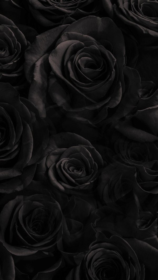 черный обой