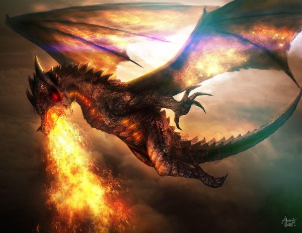 Огненный дракон