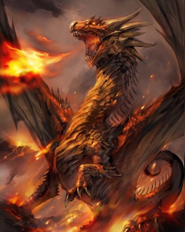 Огненный дракон