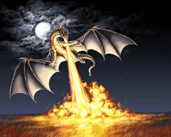 Огненный дракон