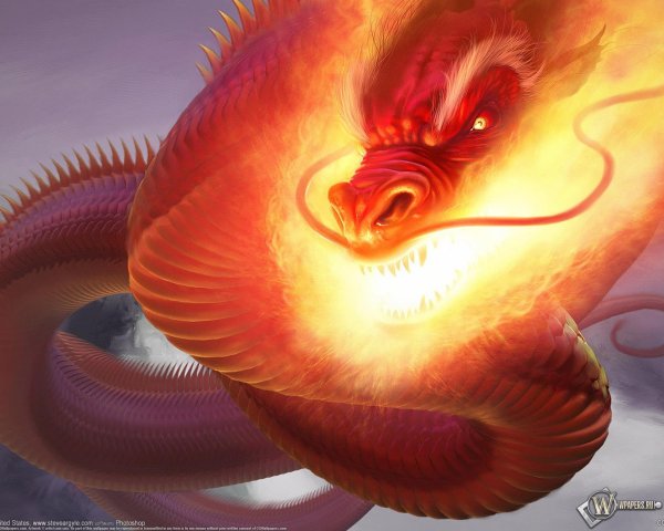 Огненный дракон