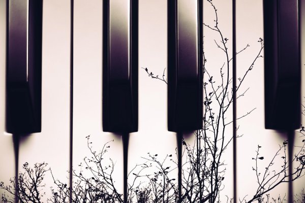 Клавиши фортепиано