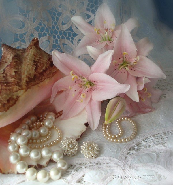 Лилии нежные