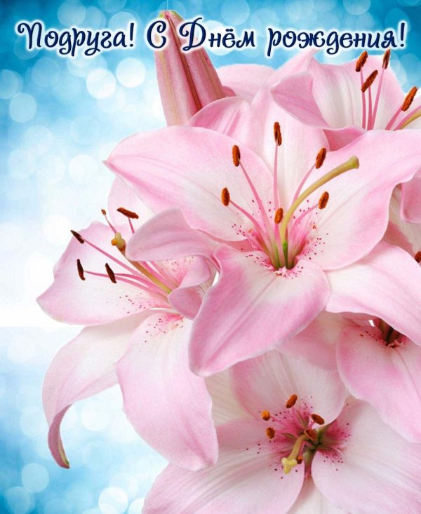 Лилии нежные