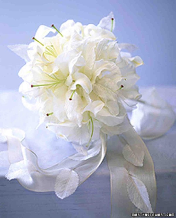 Лилии нежные