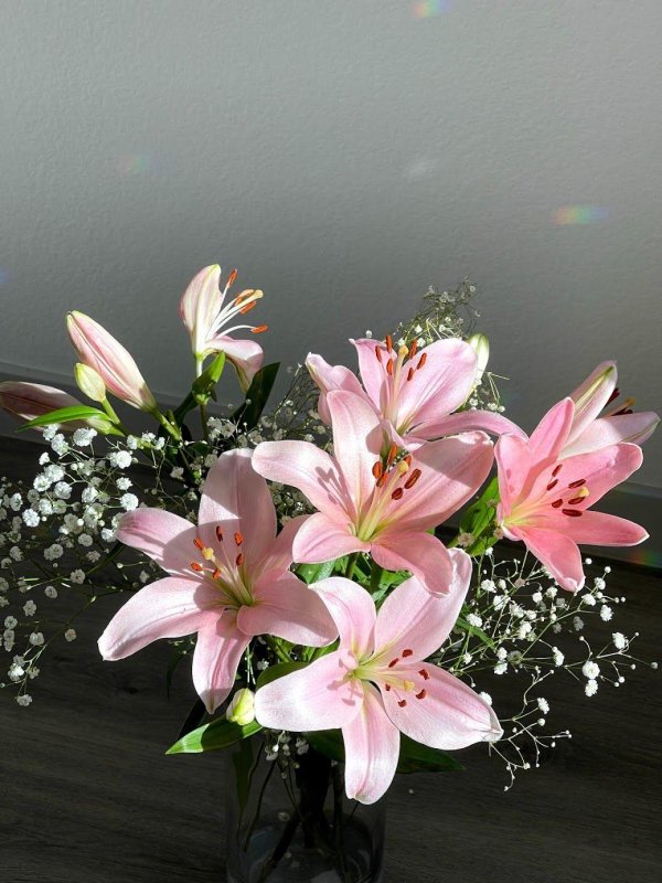 Лилии нежные