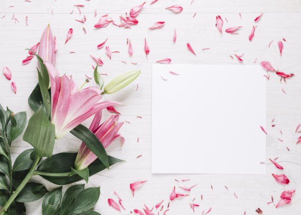 Лилии нежные