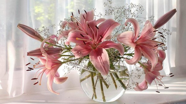 Лилии нежные