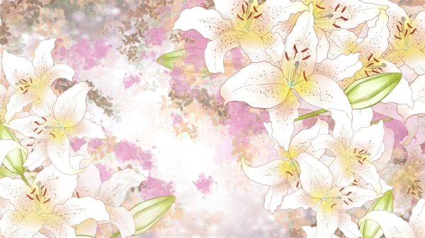 Лилии нежные