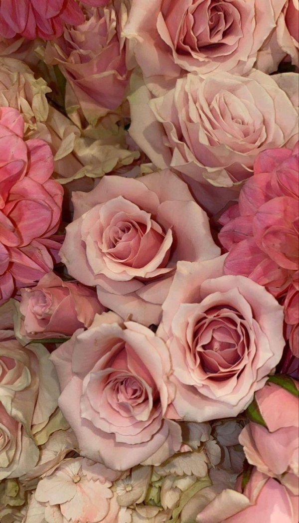 цветочные фоны