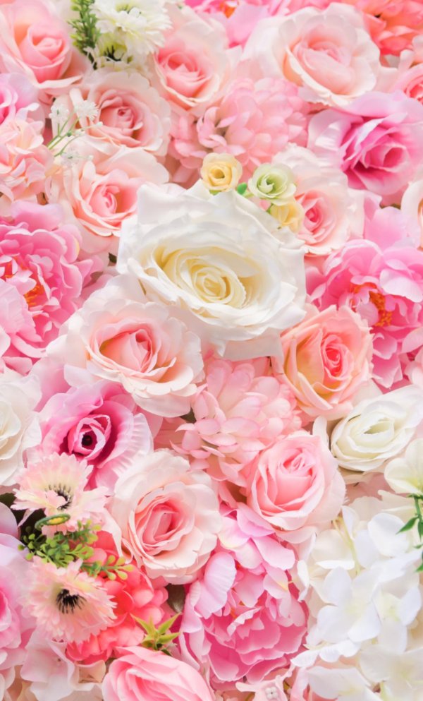 цветочные фоны