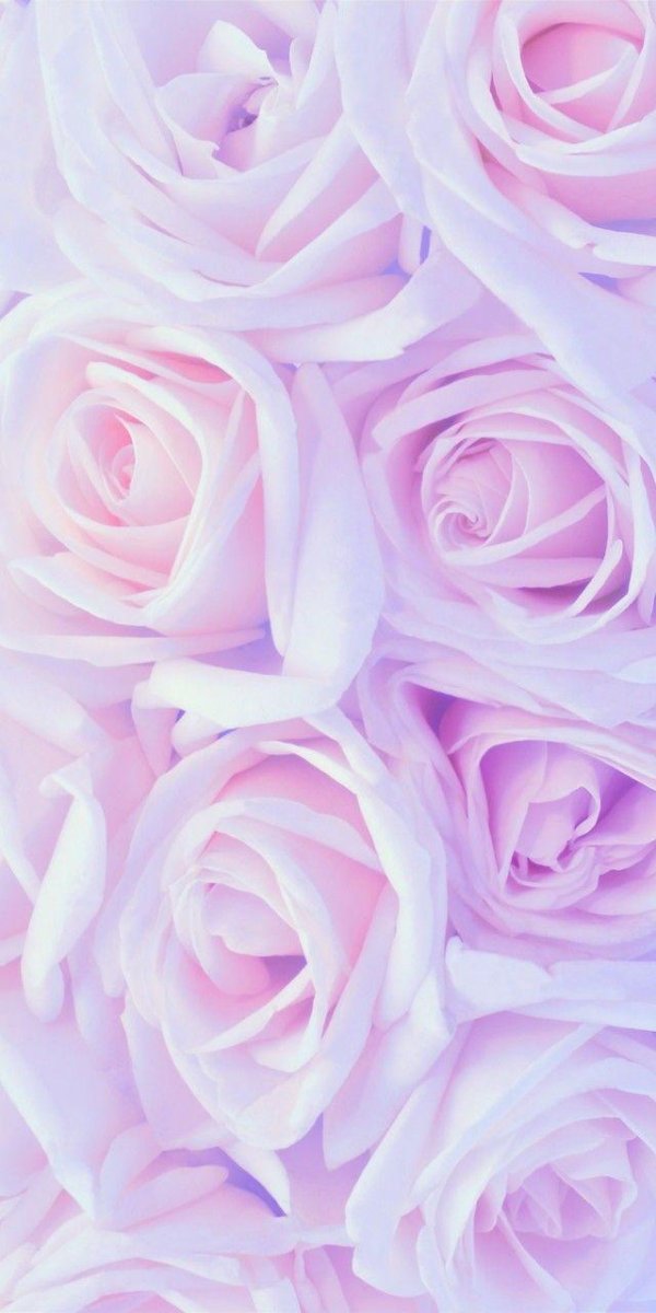 цветочные фоны