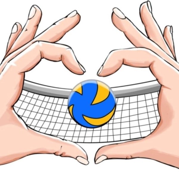 С волейболом