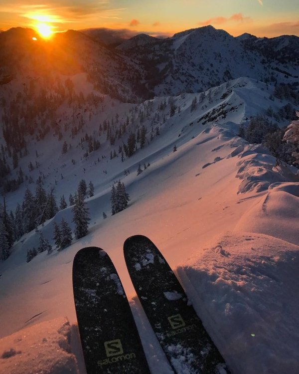 Горные лыжи