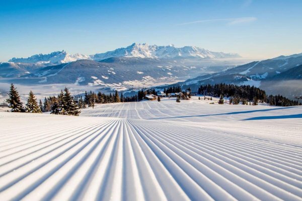 Горные лыжи