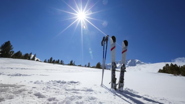 Горные лыжи