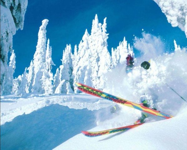 Горные лыжи