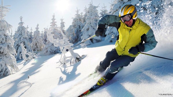 Горные лыжи