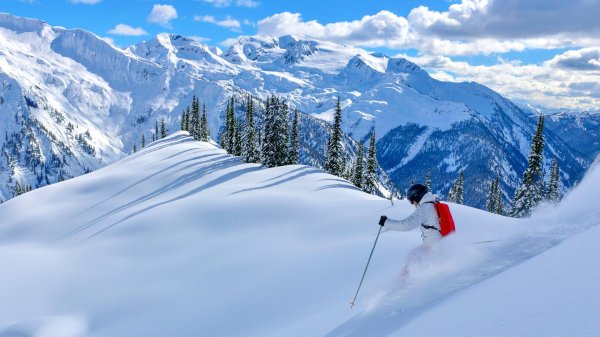 Горные лыжи