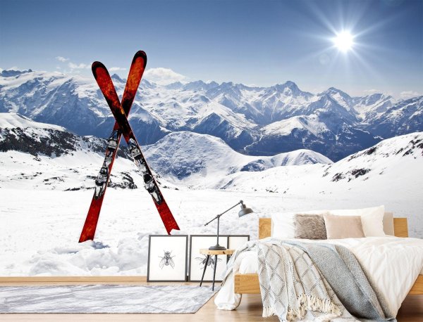 Горные лыжи