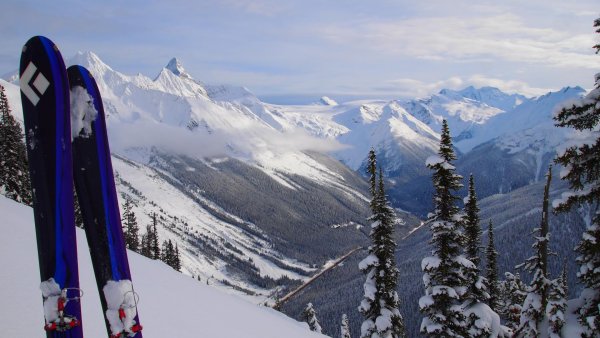 Горные лыжи